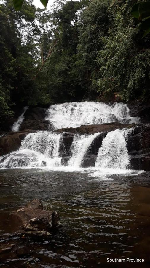 Rainforest River Edge Deniyaya Exteriér fotografie
